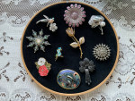 Brooches (10)