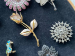 Brooches (10)