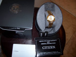 New Citizen Ladies    Eco-Drive  Watch /Gold with Floating Diamonds