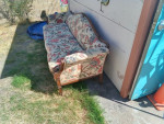 Vintage Couch