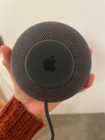 HomePod mini, Space Gray