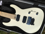 Jackson USA Custom Shop Dinky COA CASE ETC
