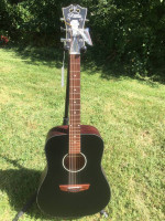 Dangelico Premier Lexington Acoustic Electric Guitar New Unplayed