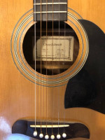 Oscar Schmids OG3 Guitar