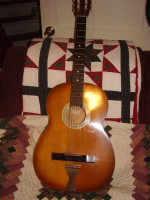 Zim Gar Slide Guitar