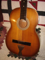 Zim Gar Slide Guitar