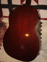 Zim Gar Slide Guitar
