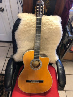 Esteban’s Clasical Gutar with case