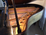 Steinway Baby Grand Piano NEW PRICE