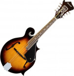 F Style Mandolin