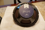 Eminence Ragin Cajun Speaker