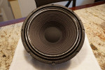 Eminence Ragin Cajun Speaker