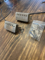 Bare Knuckle Mule aged nickle pickups and Bare Knuckle caps