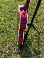 Beautiful 2005 Gretsch Tennessee Rose Chet Atkins G6119 guitar-EXL!