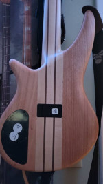 Jackson Pro Series Spectra Bass SB V Poplar Burl - Blue Burst