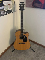 Blue Ridge Acoustic Electric