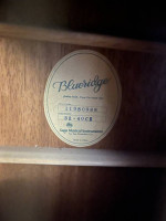 Blue Ridge Acoustic Electric