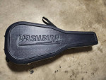 Washburn Hard Case .....Rugged-Protect your guitar