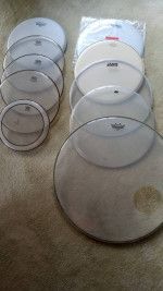 NEW heads