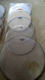 NEW heads