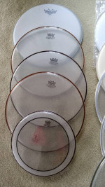 NEW heads