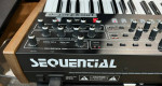 Sequential / Dave Smith Prophet-6 analog synth