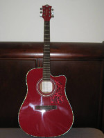 Acoustic/Electric Guitar, Amp, Case, Extras