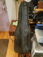 1/2 size Bellafina cello