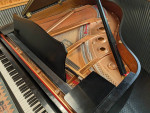 Yamaha Grand Piano