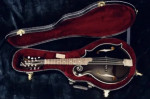 Gibson Black Night F5G mandolin