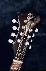 Gibson Black Night F5G mandolin