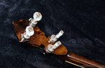 ‘84 Stelling White Star banjo
