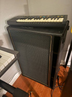 2 Matrix NL212 guitar cabinets