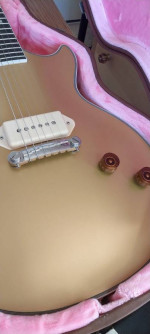 Price Drop!....EPIPHONE Jared James Nichols "Gold Glory" Custom w/ HSC