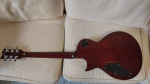 ESP LTD EC401VF Electric Guitar+New Gig Bag+ Strap