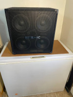 Seismic 4X8 bass cab