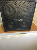 Seismic 4X8 bass cab