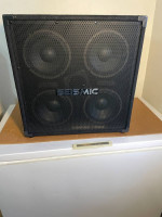 Seismic 4X8 bass cab