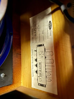 Swart Space Tone Reverb (STR) Amplifier