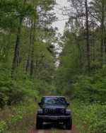 2013 Jeep Wrangler Sport 4WD  61,000 mi