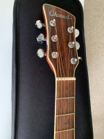 1989 Charvel Acoustic Electric Guitar