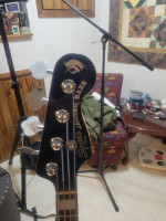 Fender Special Edition Jaguar Bass Active