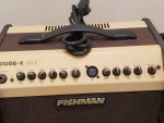 Fishman LBX500 Loudbox Mini Amp