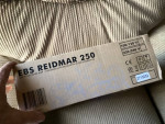 EBS RADMIER 250 BASS AMP