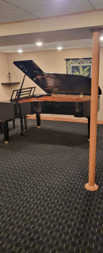 Concert grand I