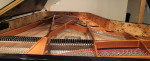 Concert grand I