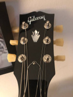 FS/FT Gibson ES-335