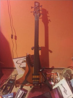 Ibanez Portamento Fretless 5-string Bass