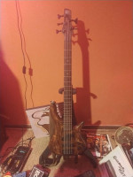 Ibanez ABS 5-string bass