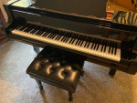 Estonia L210 Grand Piano